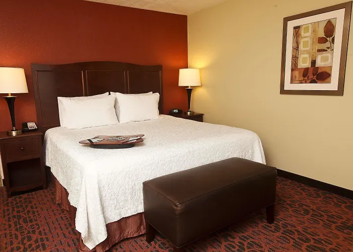 Hotel Hampton & Medical Center 3*
