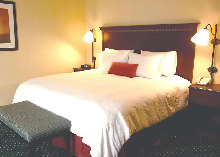 Hampton & Medical Center 3*